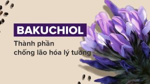 2 Hoạt Chất Quan Trọng Giúp Ngăn Ngừa Lão Hóa Hiệu Quả