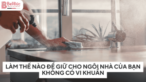 Cách Giữ Cho Nhà Cửa Luôn Sạch Sẽ Và Không Có Vi Khuẩn